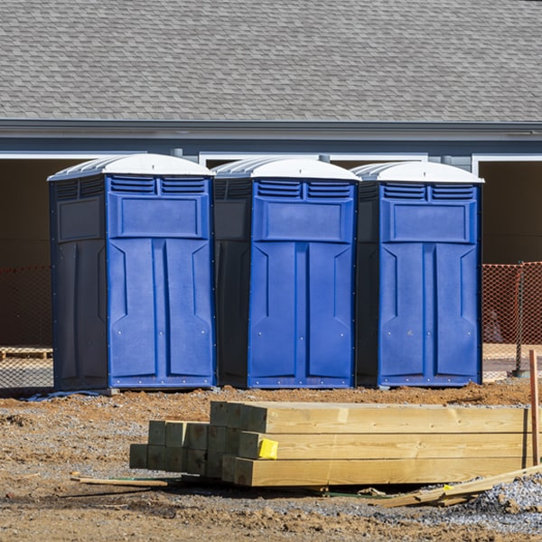 how can i report damages or issues with the porta potties during my rental period in Van Etten